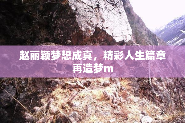 赵丽颖梦想成真，精彩人生篇章再造梦m