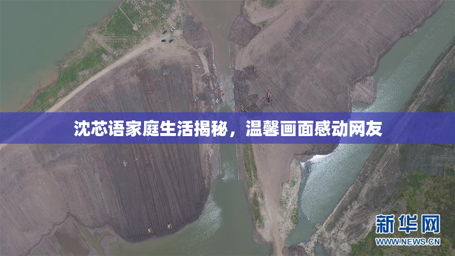 沈芯语家庭生活揭秘，温馨画面感动网友