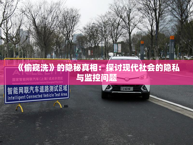 《偷窥洗》的隐秘真相：探讨现代社会的隐私与监控问题