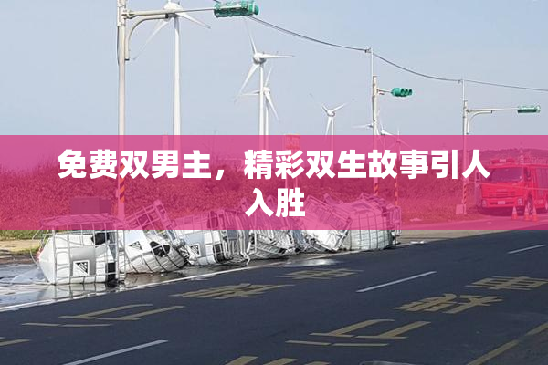 免费双男主，精彩双生故事引人入胜