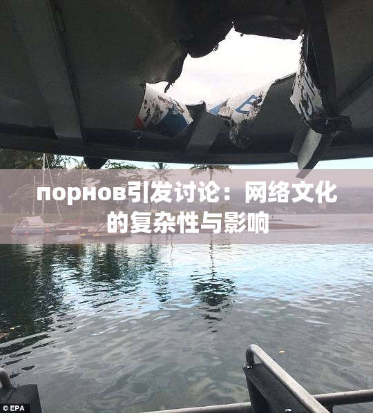 порнов引发讨论：网络文化的复杂性与影响