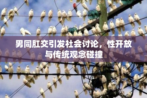 男同肛交引发社会讨论，性开放与传统观念碰撞