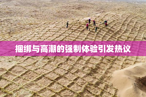 捆绑与高潮的强制体验引发热议