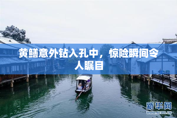 黄鳝意外钻入孔中，惊险瞬间令人瞩目