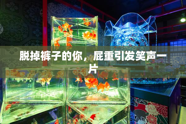脱掉裤子的你，屁重引发笑声一片