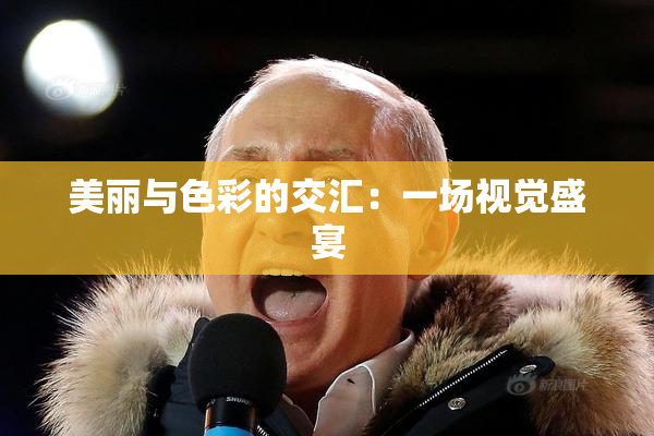 美丽与色彩的交汇：一场视觉盛宴