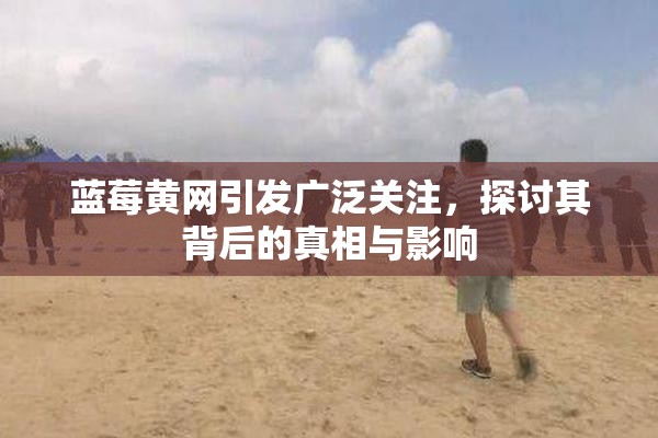 蓝莓黄网引发广泛关注，探讨其背后的真相与影响