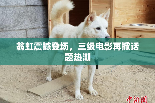 翁虹震撼登场，三级电影再掀话题热潮