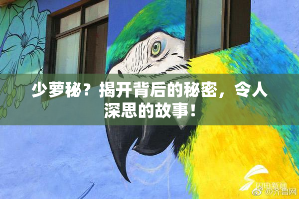 少萝秘？揭开背后的秘密，令人深思的故事！