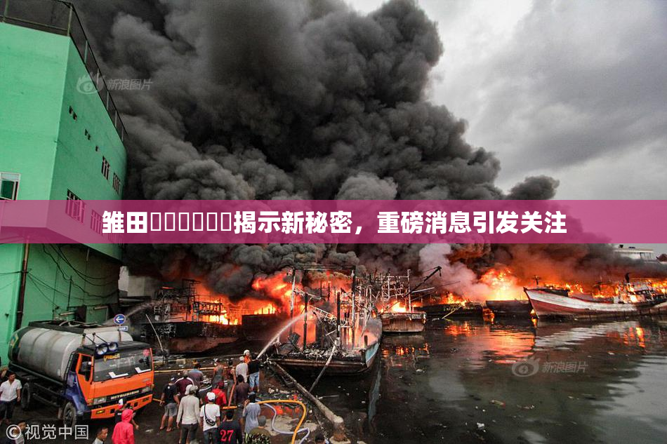 雏田❌‌❌‌❌‌揭示新秘密，重磅消息引发关注