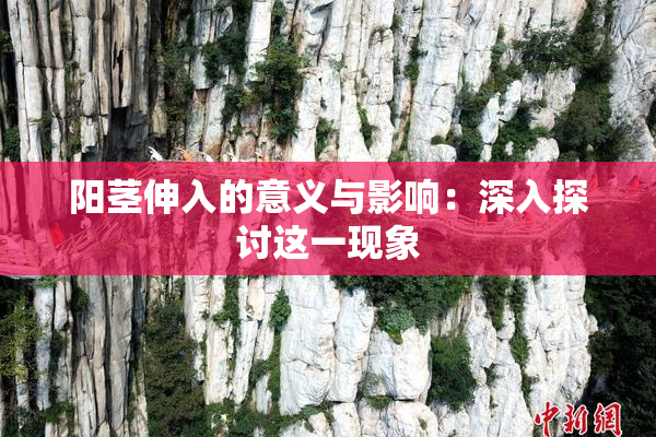 阳茎伸入的意义与影响：深入探讨这一现象