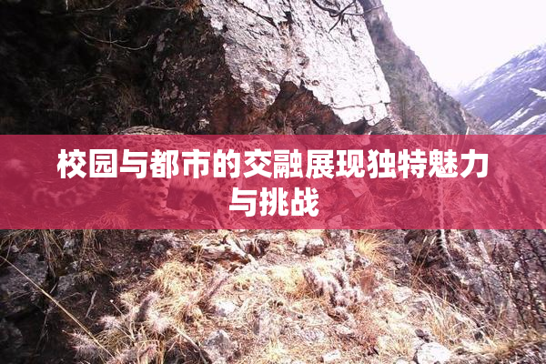 校园与都市的交融展现独特魅力与挑战