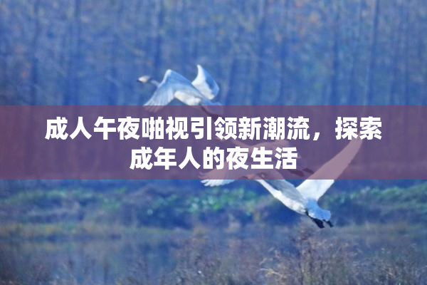 成人午夜啪视引领新潮流，探索成年人的夜生活