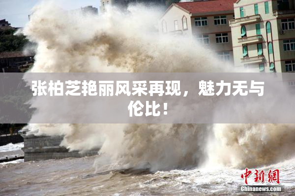张柏芝艳丽风采再现，魅力无与伦比！