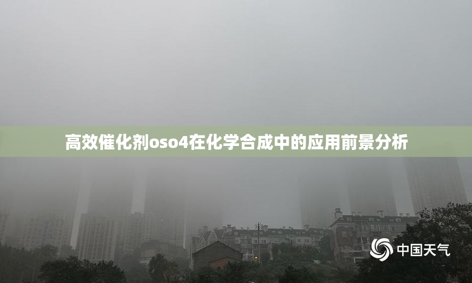 高效催化剂oso4在化学合成中的应用前景分析