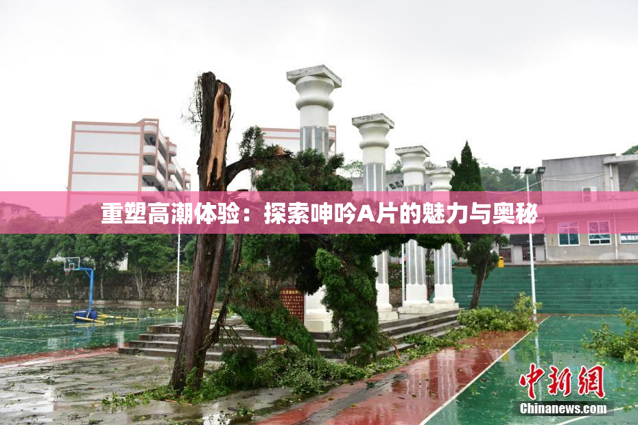 重塑高潮体验：探索呻吟A片的魅力与奥秘