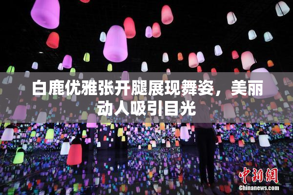 白鹿优雅张开腿展现舞姿，美丽动人吸引目光