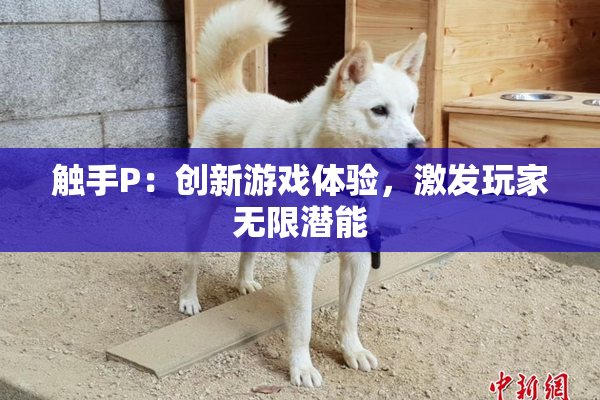 触手P：创新游戏体验，激发玩家无限潜能