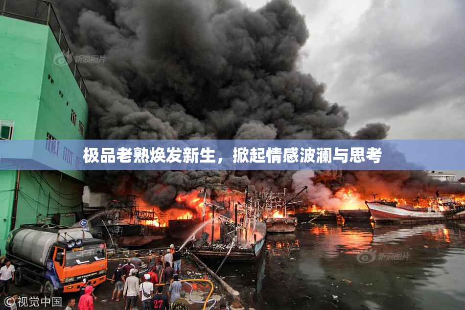 极品老熟焕发新生，掀起情感波澜与思考