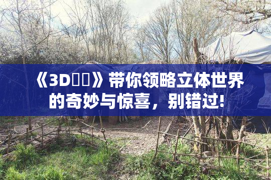 《3D姉弚》带你领略立体世界的奇妙与惊喜，别错过!