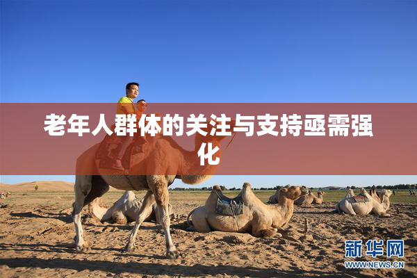 老年人群体的关注与支持亟需强化