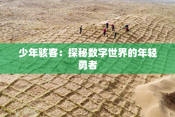 少年骇客：探秘数字世界的年轻勇者