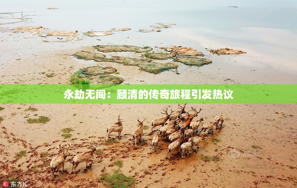 永劫无间：顾清的传奇旅程引发热议