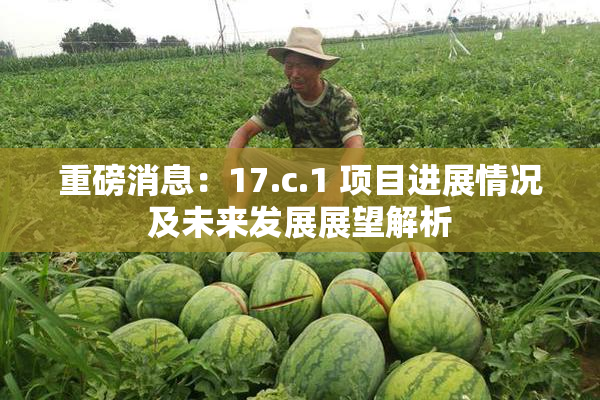 重磅消息：17.c.1 项目进展情况及未来发展展望解析