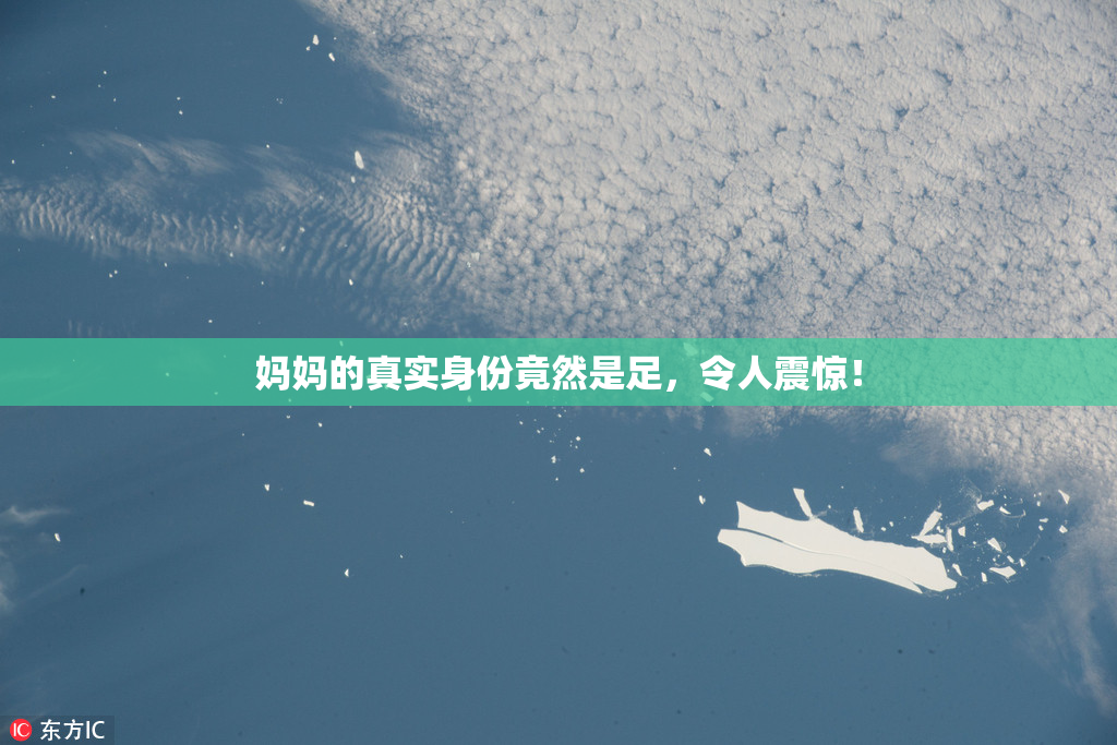 妈妈的真实身份竟然是足，令人震惊！