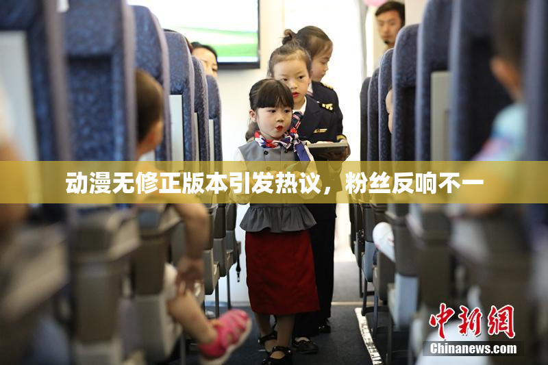 动漫无修正版本引发热议，粉丝反响不一
