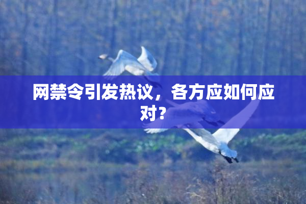 网禁令引发热议，各方应如何应对？