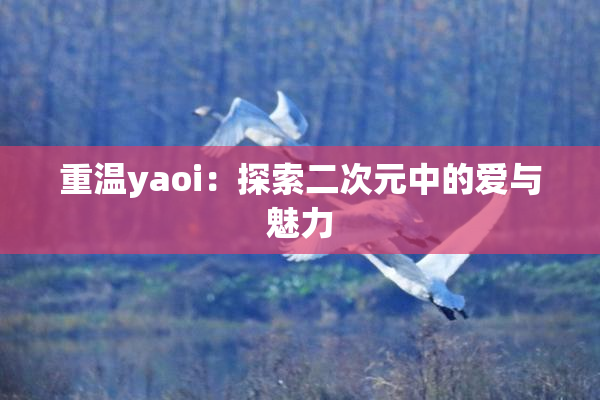 重温yaoi：探索二次元中的爱与魅力