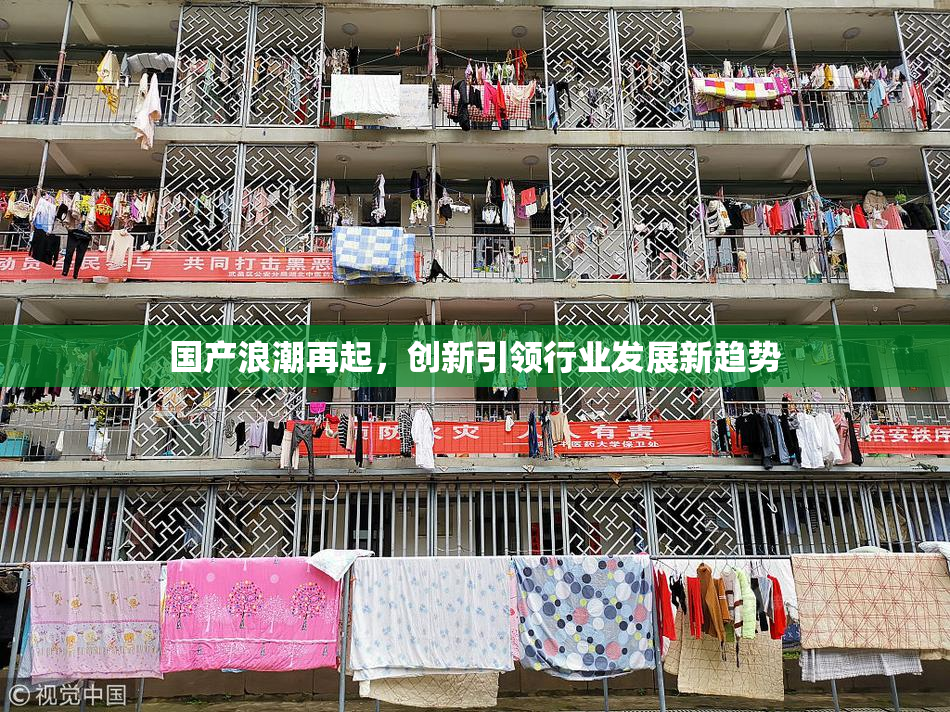 国产浪潮再起，创新引领行业发展新趋势