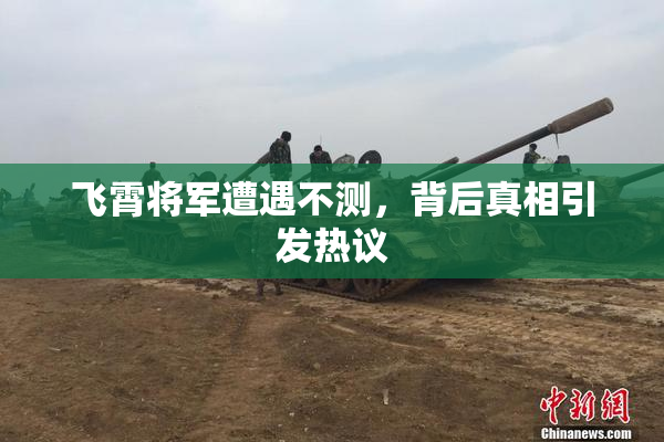 飞霄将军遭遇不测，背后真相引发热议