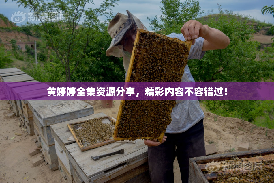 黄婷婷全集资源分享，精彩内容不容错过！