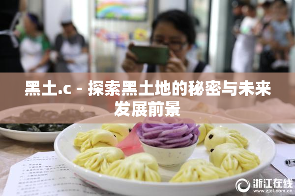 黑土.c - 探索黑土地的秘密与未来发展前景