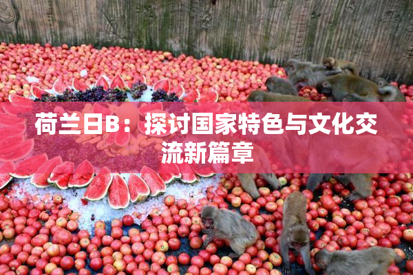 荷兰日B：探讨国家特色与文化交流新篇章