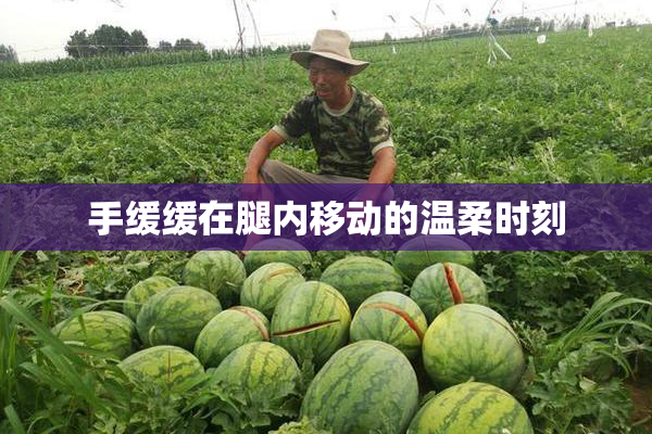 手缓缓在腿内移动的温柔时刻
