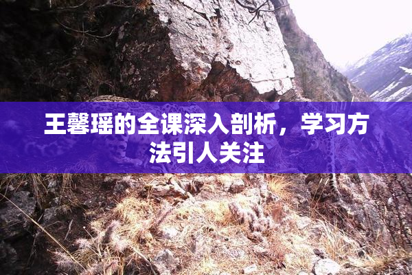 王馨瑶的全课深入剖析，学习方法引人关注
