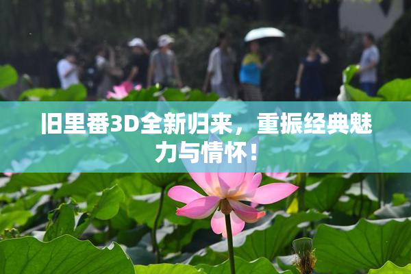 旧里番3D全新归来，重振经典魅力与情怀！