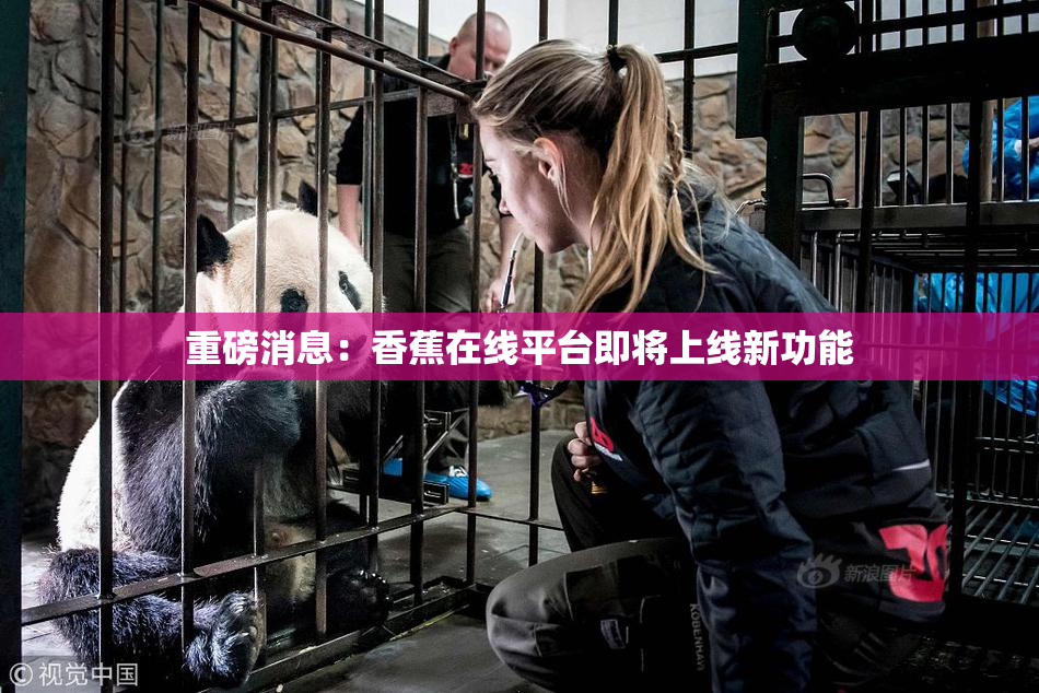 重磅消息：香蕉在线平台即将上线新功能