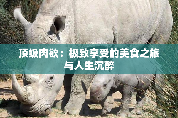 顶级肉欲：极致享受的美食之旅与人生沉醉