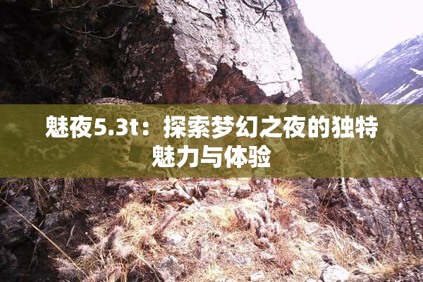 魅夜5.3t：探索梦幻之夜的独特魅力与体验