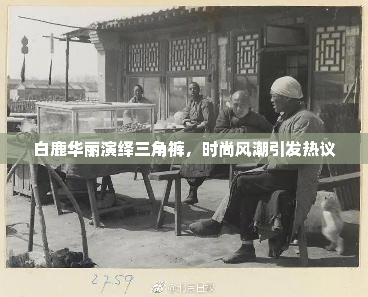 白鹿华丽演绎三角裤，时尚风潮引发热议