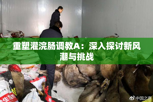 重塑灌浣肠调教A：深入探讨新风潮与挑战