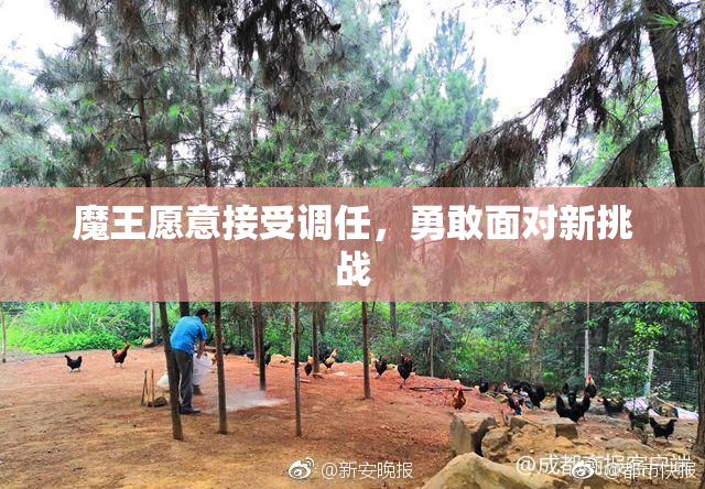魔王愿意接受调任，勇敢面对新挑战