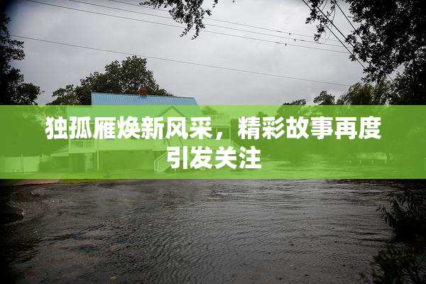 独孤雁焕新风采，精彩故事再度引发关注