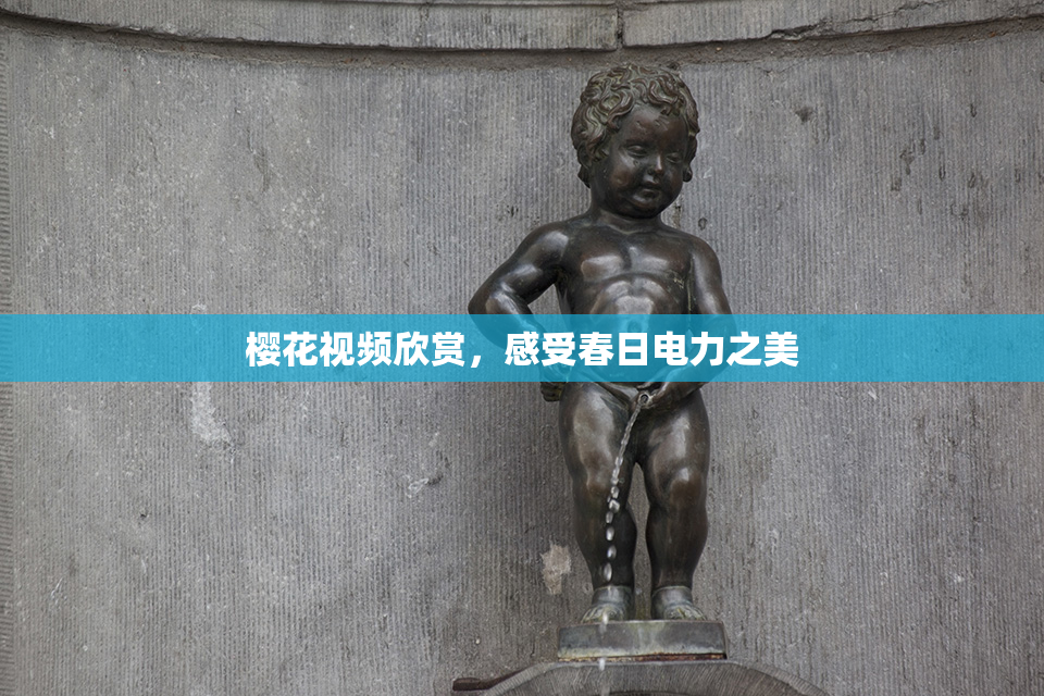 樱花视频欣赏，感受春日电力之美