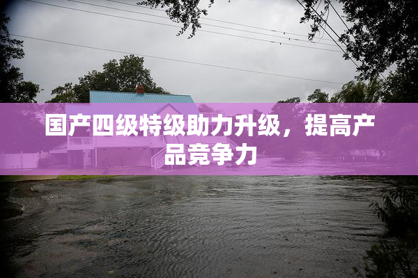 国产四级特级助力升级，提高产品竞争力