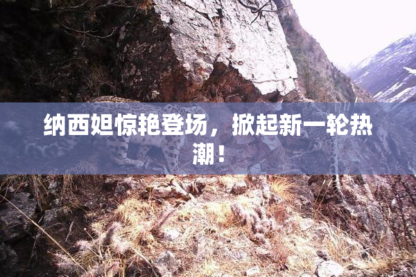 纳西妲惊艳登场，掀起新一轮热潮！